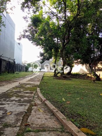 Tanah di , Luas 3900m2m², Akses Jakarta Selatan, Jakarta Selatan Tanah di , Luas 3900m2m², Akses Jakarta Selatan, Jakarta Selatan