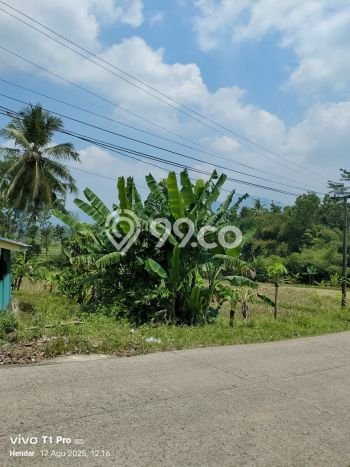 Jual Rumah Minimalis Bagus Punya 3 KT di Bogor Timur Bogor SHM Jual Rumah Minimalis Bagus Punya 3 KT di Bogor Timur Bogor SHM