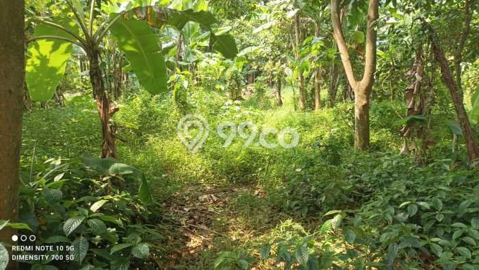 Kavling Tanah untuk Dijual di Cimuning, Bekasi, Luas 440m2 Kavling Tanah untuk Dijual di Cimuning, Bekasi, Luas 440m2