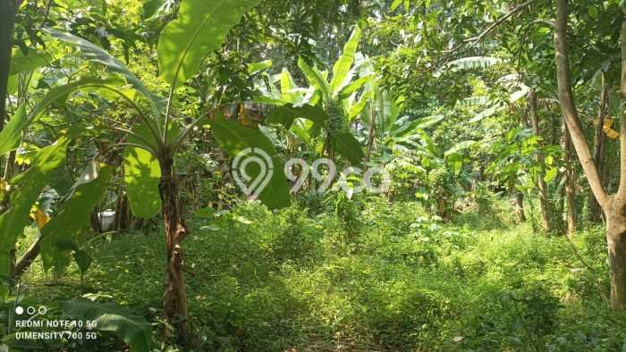 Kavling Tanah untuk Dijual di Cimuning, Bekasi, Luas 440m2 Kavling Tanah untuk Dijual di Cimuning, Bekasi, Luas 440m2