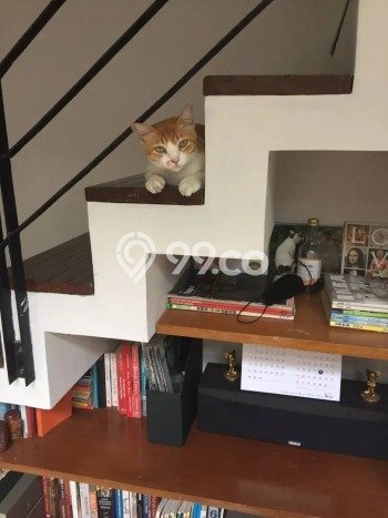 Dijual Rumah Mewah Megah Dengan View Cantik di Pondok Kelapa, Jakarta Timur Dijual Rumah Mewah Megah Dengan View Cantik di Pondok Kelapa, Jakarta Timur