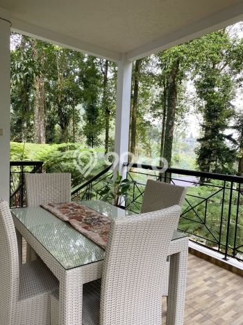 For Sale! Vila di Megamendung, Area 1720m2m², Akses ke Pusat Kota For Sale! Vila di Megamendung, Area 1720m2m², Akses ke Pusat Kota