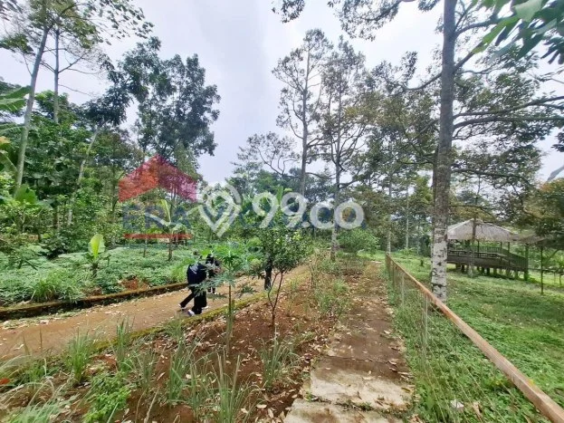Tanah Kavling Dijual di Malang dengan Spesifikasi 9151m2 Tanah Kavling Dijual di Malang dengan Spesifikasi 9151m2