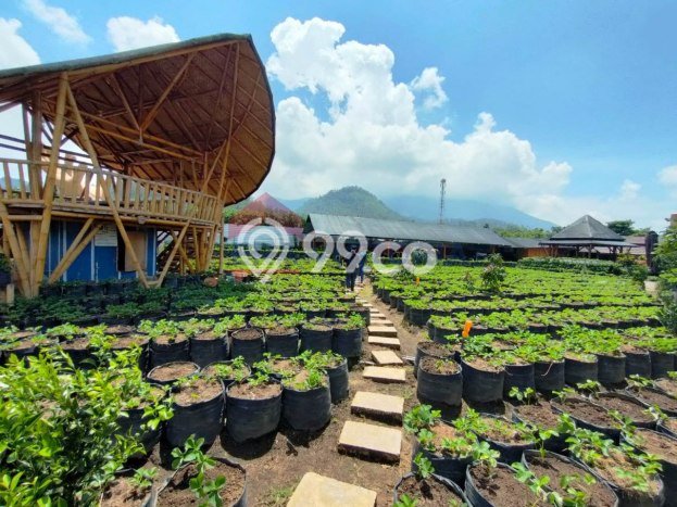 FOR SALE! Komersial di Pujon Malang, LT 6839m2, LB 1400m2 FOR SALE! Komersial di Pujon Malang, LT 6839m2, LB 1400m2