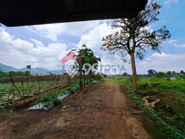 Tanah Komersial Dijual di Tutur Pasuruan 70000m2 Tanah Komersial Dijual di Tutur Pasuruan 70000m2