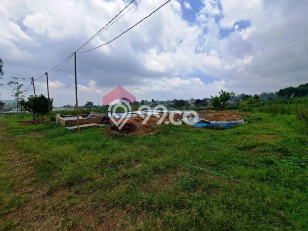 Tanah Komersial Dijual di Tutur Pasuruan 70000m2 Tanah Komersial Dijual di Tutur Pasuruan 70000m2