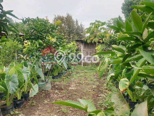 Komersial Paling Dicari LB 252m2 Dijual di Kepanjen Komersial Paling Dicari LB 252m2 Dijual di Kepanjen