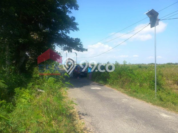 Lahan untuk Dijual di Kencong Jember Luas 7221m2 Lahan untuk Dijual di Kencong Jember Luas 7221m2