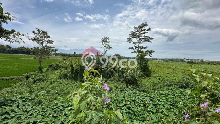 FOR SALE! Gudang di Singosari Malang, LT 9448m2, LB 3500m2 FOR SALE! Gudang di Singosari Malang, LT 9448m2, LB 3500m2