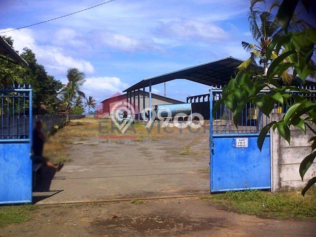 Gudang Dijual di Prime Area Jembrana Luas 1914m2 Gudang Dijual di Prime Area Jembrana Luas 1914m2
