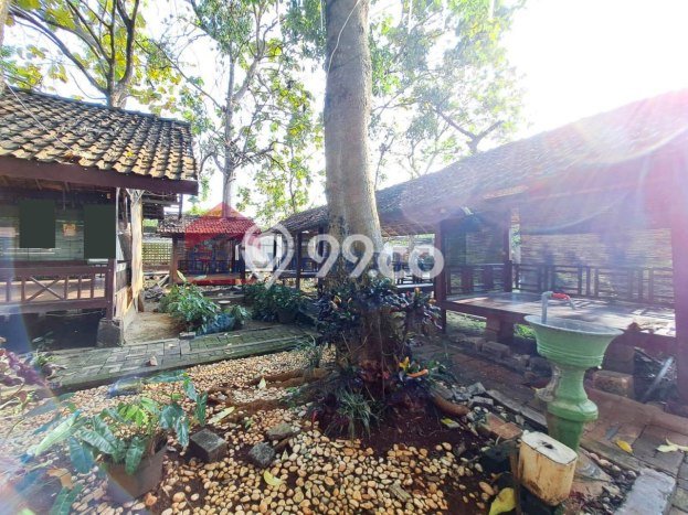Komersial Dijual Lokasi Emas di Tuban Luas 800m2 Komersial Dijual Lokasi Emas di Tuban Luas 800m2