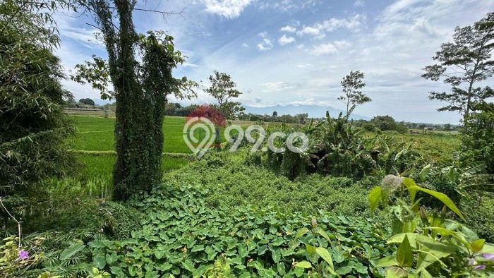 FOR SALE! Gudang di Singosari Malang, LT 9448m2, LB 3500m2 FOR SALE! Gudang di Singosari Malang, LT 9448m2, LB 3500m2