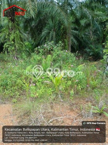 Tanah di Penajam, Penajam Paser Utara Luas 298m2 Dijual Segera Tanah di Penajam, Penajam Paser Utara Luas 298m2 Dijual Segera