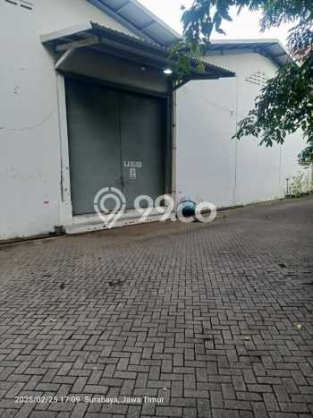 Gudang Favorit Dijual di Kenjeran Surabaya Area Pusat Bisnis Gudang Favorit Dijual di Kenjeran Surabaya Area Pusat Bisnis