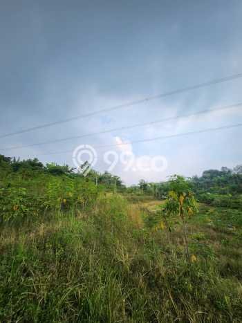 Tanah Dijual Lokasi Cinere, Depok dengan Luas Tanah 28010m2 dan Status SHM Tanah Dijual Lokasi Cinere, Depok dengan Luas Tanah 28010m2 dan Status SHM