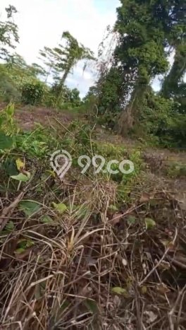 Tanah untuk Dijual di Penajam Penajam Paser Utara Luas 20000m2 Tanah untuk Dijual di Penajam Penajam Paser Utara Luas 20000m2