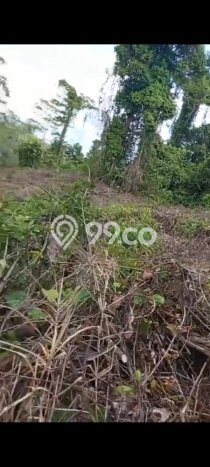 Tanah untuk Dijual di Penajam Penajam Paser Utara Luas 20000m2 Tanah untuk Dijual di Penajam Penajam Paser Utara Luas 20000m2