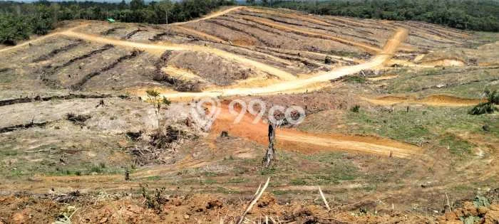 Tanah Kavling di Sepaku Dijual dengan Luas 400m2 Tanah Kavling di Sepaku Dijual dengan Luas 400m2