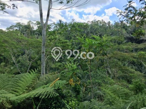 Tanah Dijual Lokasi Gianyar, Gianyar dengan Luas Tanah 10000m2 dan Status SHM Tanah Dijual Lokasi Gianyar, Gianyar dengan Luas Tanah 10000m2 dan Status SHM