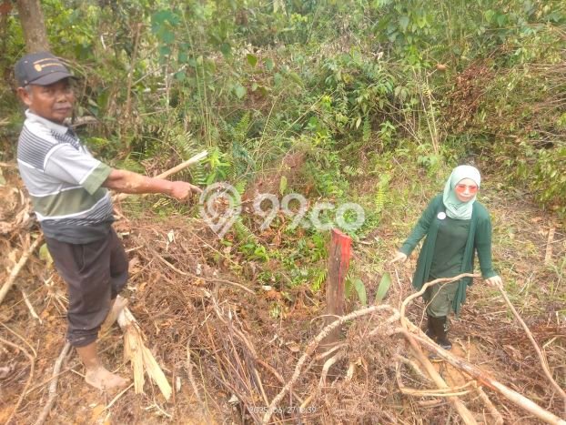 Dijual Tanah di Sepaku Penajam Paser Utara Luas 20000m2 - Dijual Tanah di Sepaku Penajam Paser Utara Luas 20000m2 -