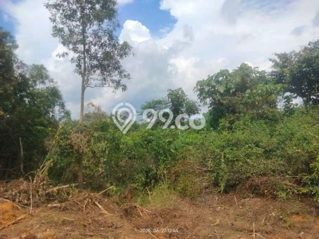 Dijual Tanah di Sepaku Penajam Paser Utara Luas 20000m2 - Dijual Tanah di Sepaku Penajam Paser Utara Luas 20000m2 -