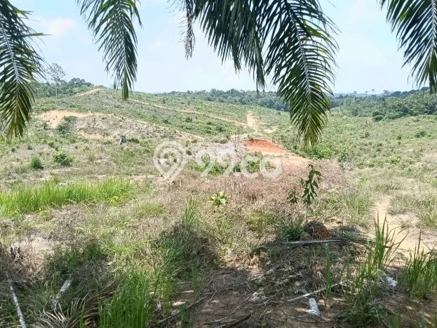 Tanah Kavling di Sepaku Dijual dengan Luas 400m2 Tanah Kavling di Sepaku Dijual dengan Luas 400m2