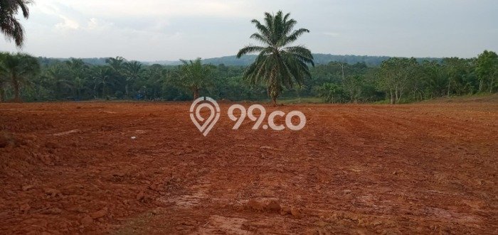 Dijual Tanah di Penajam Penajam Paser Utara Luas 150m2 SHM Dijual Tanah di Penajam Penajam Paser Utara Luas 150m2 SHM