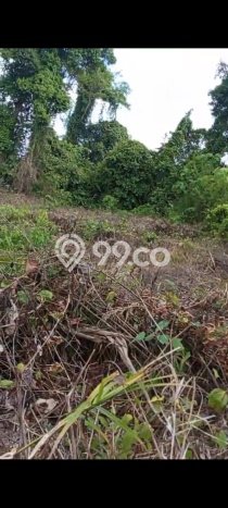 Tanah untuk Dijual di Penajam Penajam Paser Utara Luas 20000m2 Tanah untuk Dijual di Penajam Penajam Paser Utara Luas 20000m2