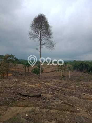 Dijual Tanah di Penajam Penajam Paser Utara Luas 150m2 SHM Dijual Tanah di Penajam Penajam Paser Utara Luas 150m2 SHM