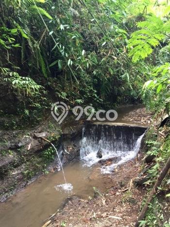 Tanah Dijual Lokasi Gianyar, Gianyar dengan Luas Tanah 10000m2 dan Status SHM Tanah Dijual Lokasi Gianyar, Gianyar dengan Luas Tanah 10000m2 dan Status SHM