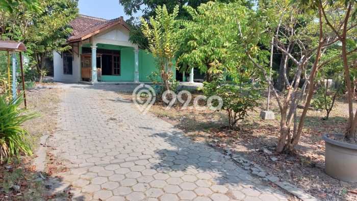 Tanah Kosong Dijual di Sragen dengan Area 1135m2 Tanah Kosong Dijual di Sragen dengan Area 1135m2