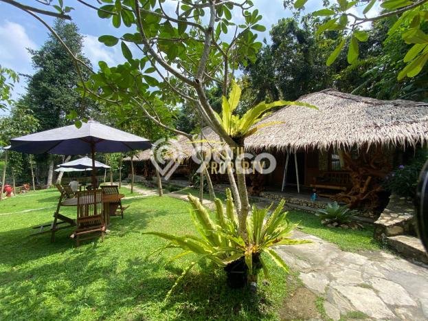 Vila Strategis di , Area 9000m2m², Akses Yogyakarta, Yogyakarta Vila Strategis di , Area 9000m2m², Akses Yogyakarta, Yogyakarta