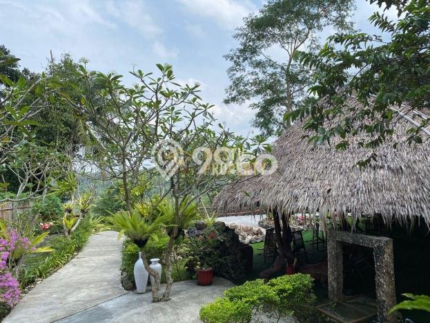 Lokasi Strategis! Vila Kawasan Kasihan, Luas 9000m2m², Kualitas Prima Lokasi Strategis! Vila Kawasan Kasihan, Luas 9000m2m², Kualitas Prima