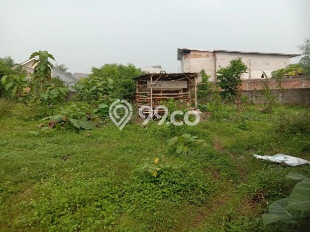 Lahan Investasi Lokasi Jatisampurna Bekasi SHM Lahan Investasi Lokasi Jatisampurna Bekasi SHM