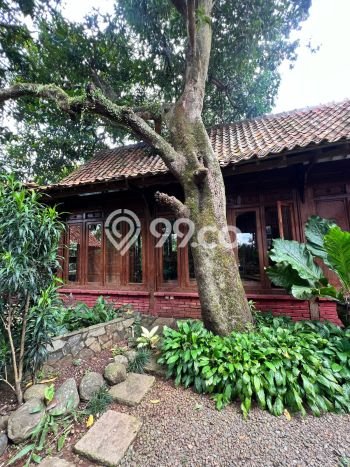 Tanah Siap Bangun Dijual di Tangerang Punya Luas 2392m2 Tanah Siap Bangun Dijual di Tangerang Punya Luas 2392m2