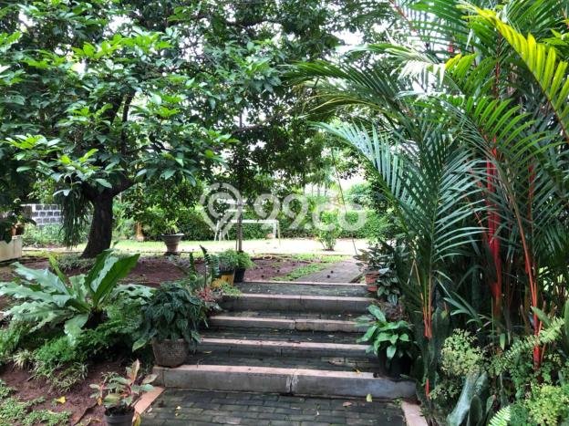 Rumah Luxury Modern Tanpa Renovasi di Petukangan Jakarta Selatan Rumah Luxury Modern Tanpa Renovasi di Petukangan Jakarta Selatan