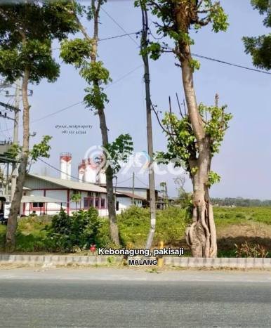 Kavling Tanah Disewakan di Pakisaji Malang Luas 3140m2 Strategis Kavling Tanah Disewakan di Pakisaji Malang Luas 3140m2 Strategis