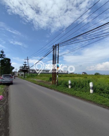 Tanah Dijual Lokasi Pakis, Malang dengan Luas Tanah 4843m2 dan Status AJB Tanah Dijual Lokasi Pakis, Malang dengan Luas Tanah 4843m2 dan Status AJB
