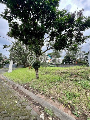 Jarang Ada! Tanah di Blimbing Punya Luas 431m2 PPJB Jarang Ada! Tanah di Blimbing Punya Luas 431m2 PPJB