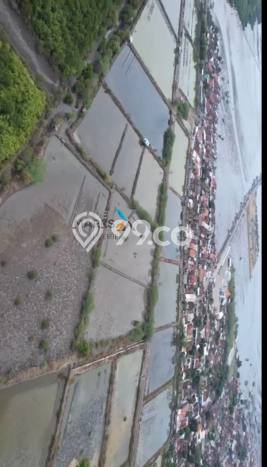 Lahan untuk Dijual Lokasi Panarukan, Situbondo Luas 85000m2 SHM Lahan untuk Dijual Lokasi Panarukan, Situbondo Luas 85000m2 SHM
