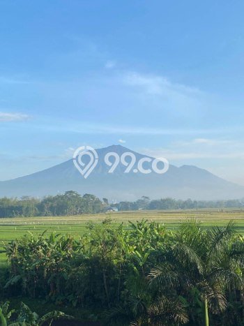 Dijual Tanah 73m2 di Araya, Malang Dijual Tanah 73m2 di Araya, Malang