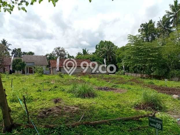 Rumah Sederhana Dijual Lokasi Tempel 2 Kamar dengan LT 80m2 Rumah Sederhana Dijual Lokasi Tempel 2 Kamar dengan LT 80m2