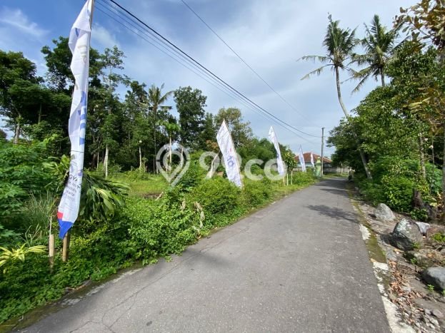 Rumah Terjangkau Dijual Area Jogonalan, Klaten Harga Rp 194 Juta Rumah Terjangkau Dijual Area Jogonalan, Klaten Harga Rp 194 Juta