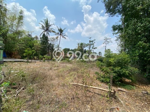 Jual Rumah Murah di Prambanan Sleman Harga Rp 247 Juta LT 89m2 Jual Rumah Murah di Prambanan Sleman Harga Rp 247 Juta LT 89m2