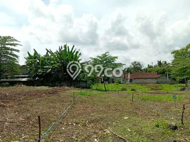 Dijual Rumah Murah di Mlati Sleman Harga Rp 427 Juta LT 119m2 Dijual Rumah Murah di Mlati Sleman Harga Rp 427 Juta LT 119m2
