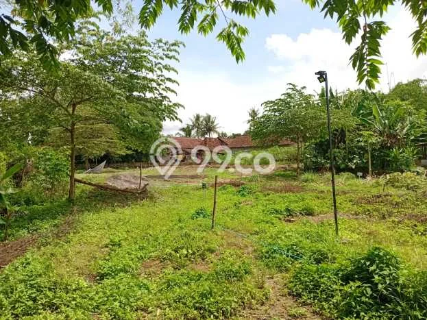 Jual Rumah Harga Miring Tempel Punya 2 Kamar & LT 80m2 Jual Rumah Harga Miring Tempel Punya 2 Kamar & LT 80m2