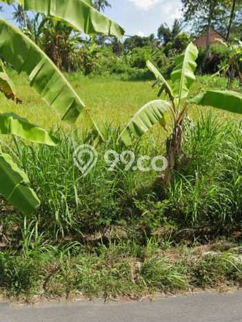 Tanah untuk Dijual di Blahbatuh Gianyar Luas 1189m2 Tanah untuk Dijual di Blahbatuh Gianyar Luas 1189m2