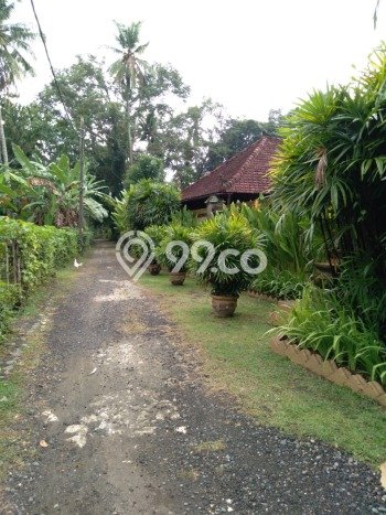 Dijual Rumah Premium dengan Fasilitas Sekitar Komplit di Selemadeg, Tabanan Dijual Rumah Premium dengan Fasilitas Sekitar Komplit di Selemadeg, Tabanan