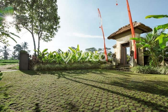Hot Offer Hunian Mewah Ideal dan Luas di Ubud, Gianyar Hot Offer Hunian Mewah Ideal dan Luas di Ubud, Gianyar
