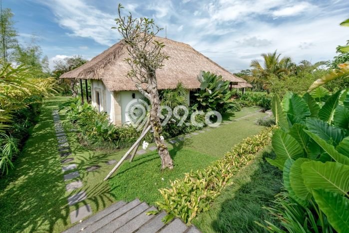 Hot Offer Hunian Mewah Ideal dan Luas di Ubud, Gianyar Hot Offer Hunian Mewah Ideal dan Luas di Ubud, Gianyar
